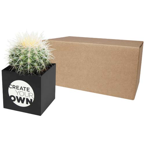 Pot en aluminium avec cactus Hey Pots