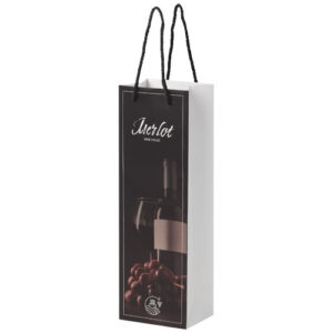 Sac de bouteille de vin en papier 170 g/m2 integra fait à la main avec poignées torsadées en plastique, 12 x 9 x 37 cm