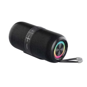Enceinte Prixton Hit Box 30W