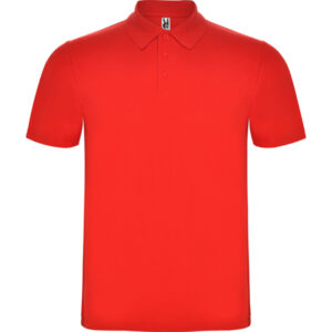 Polo Austral